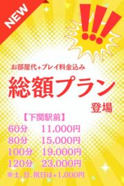 総額プラン
